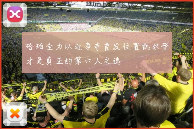 哈珀全力以赴争夺首发位置凯尔登才是真正的第六人之选